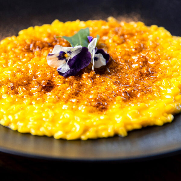 Sir Otto Risotto